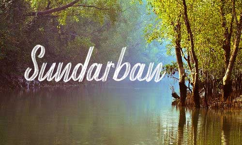 Know Much More about Sundarban Wildlife