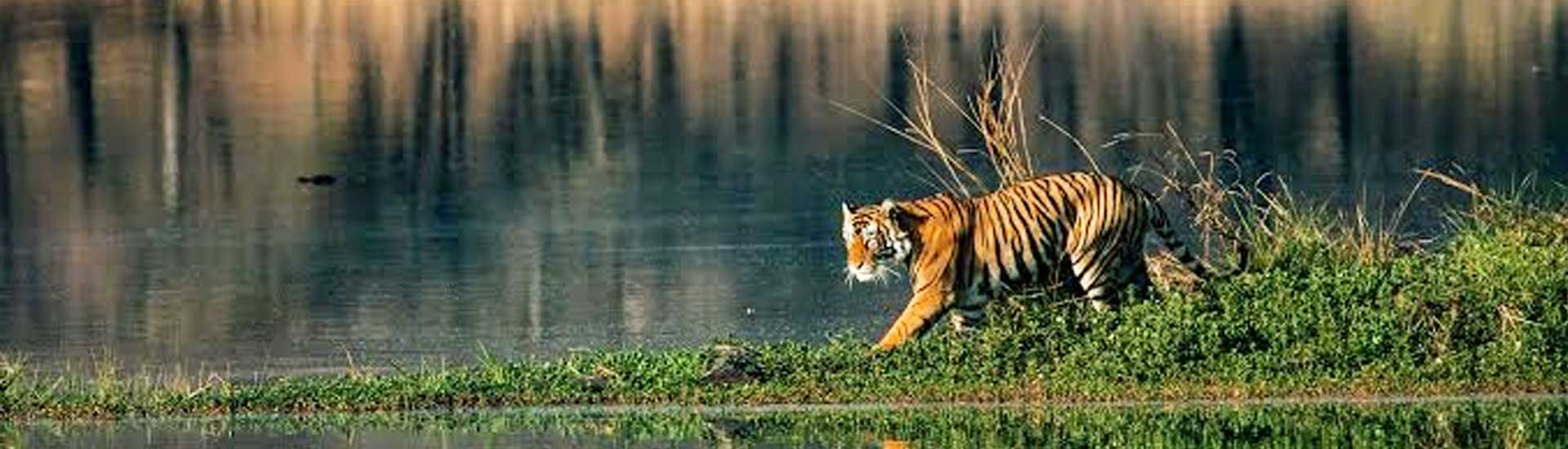 Is Sundarban Sightseeing for One Day Possible?