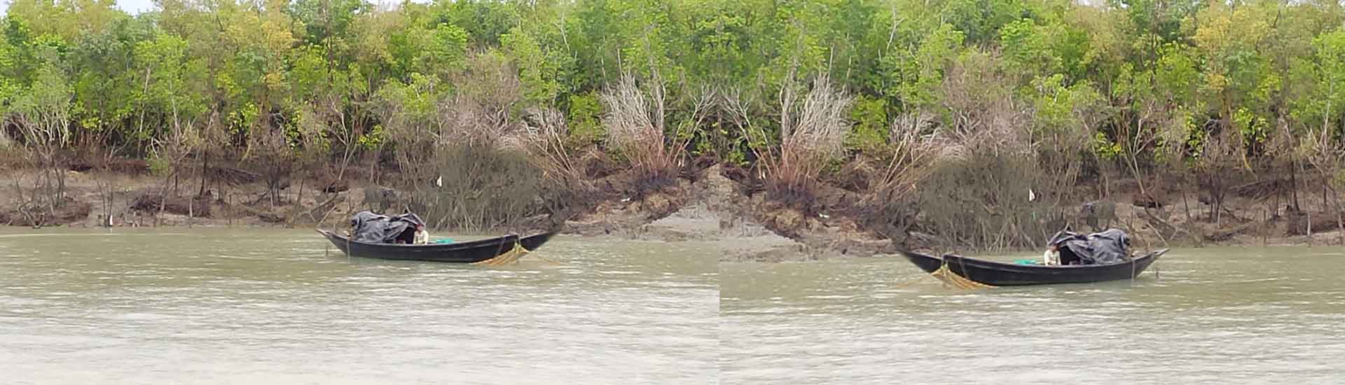 How to verify a right Sundarban tour and travel operator cum agent