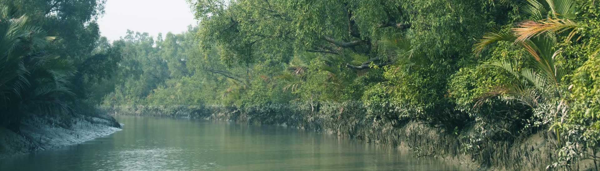 Three Most Important Things to Do in Sundarbans