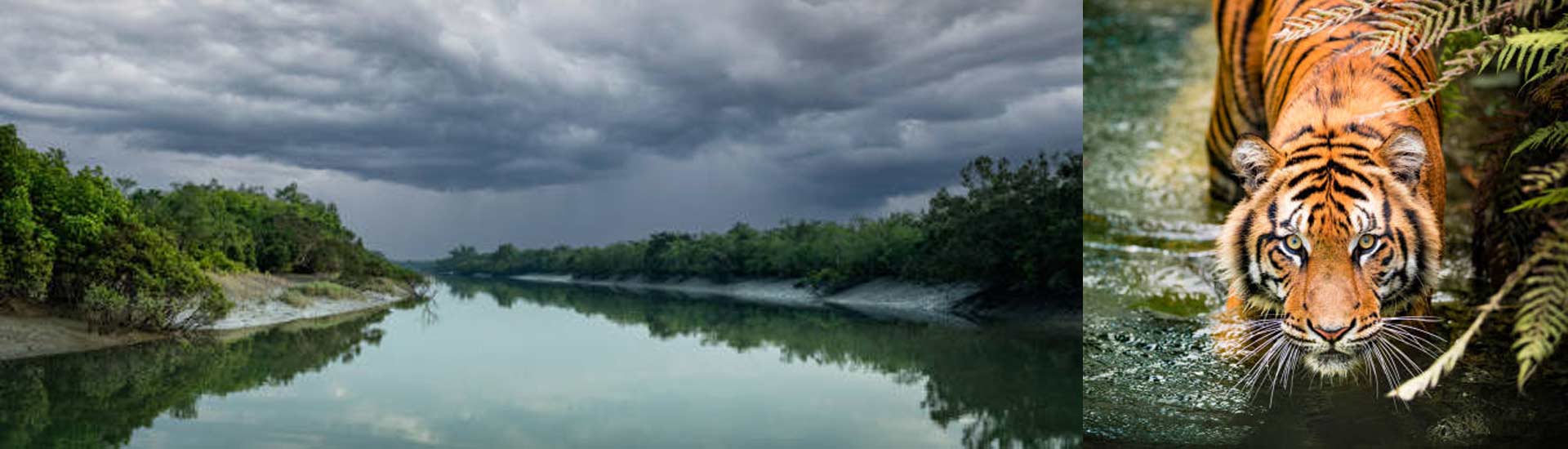 Ever Wondered What A Rainy Monsoon Adventure On During July- September