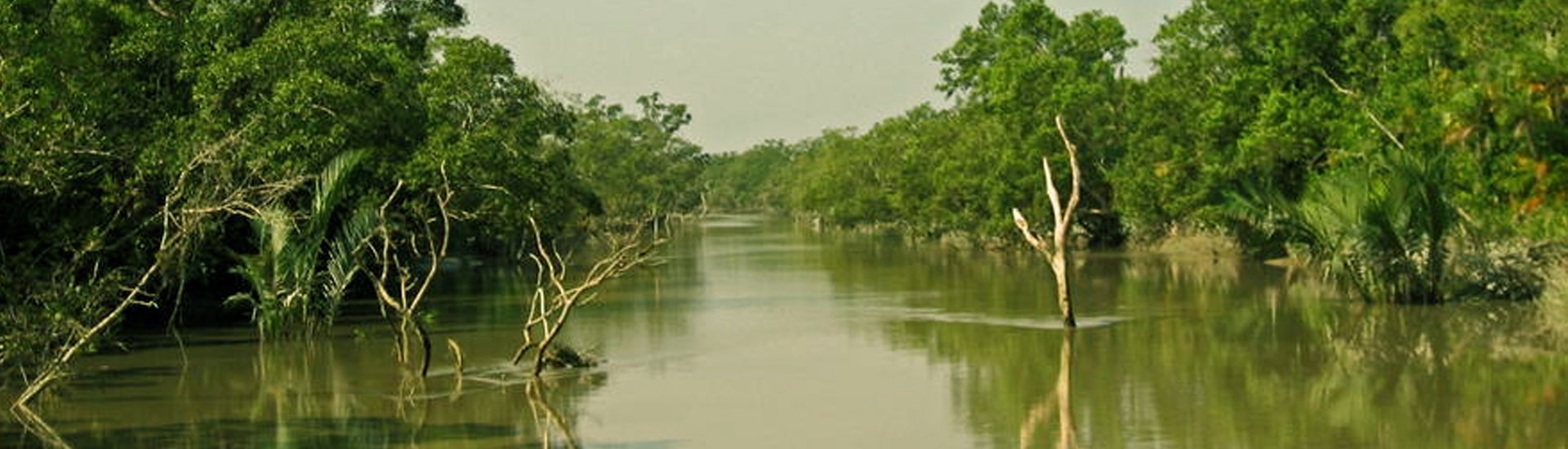 Sundarban Tourism