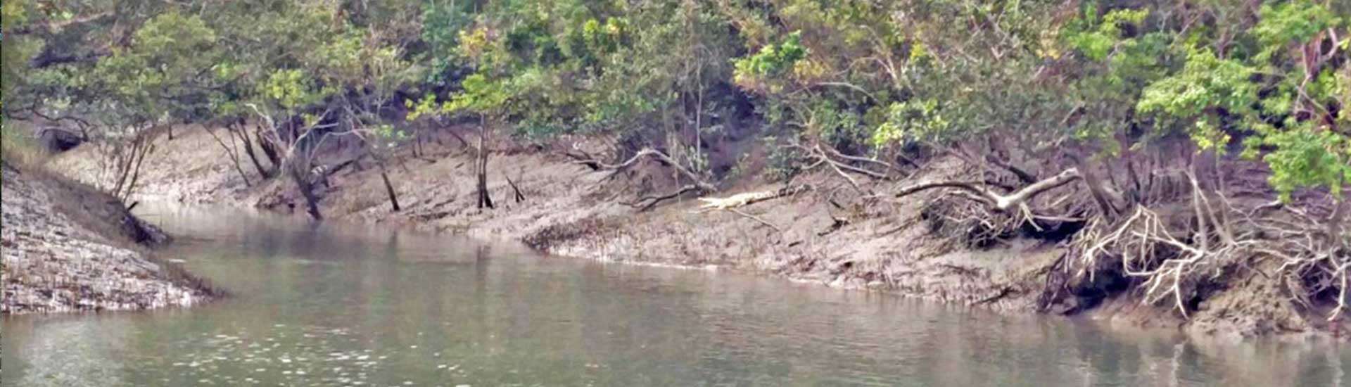 When to Visit Sundarban National Park