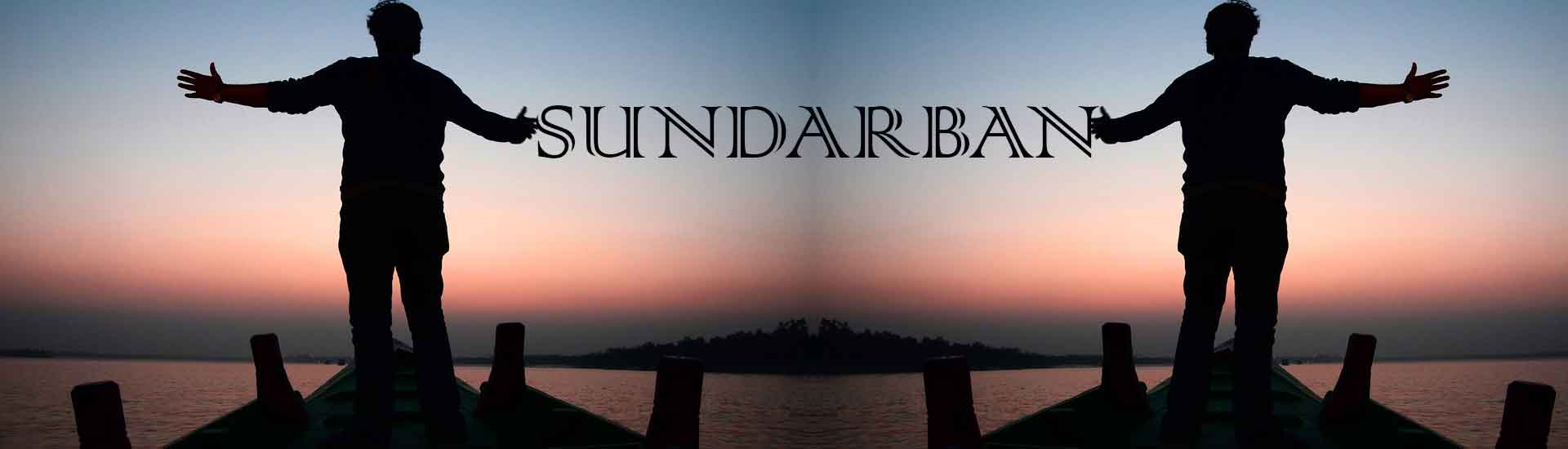 What Things We Should Not Do While Sundarban Visit?
