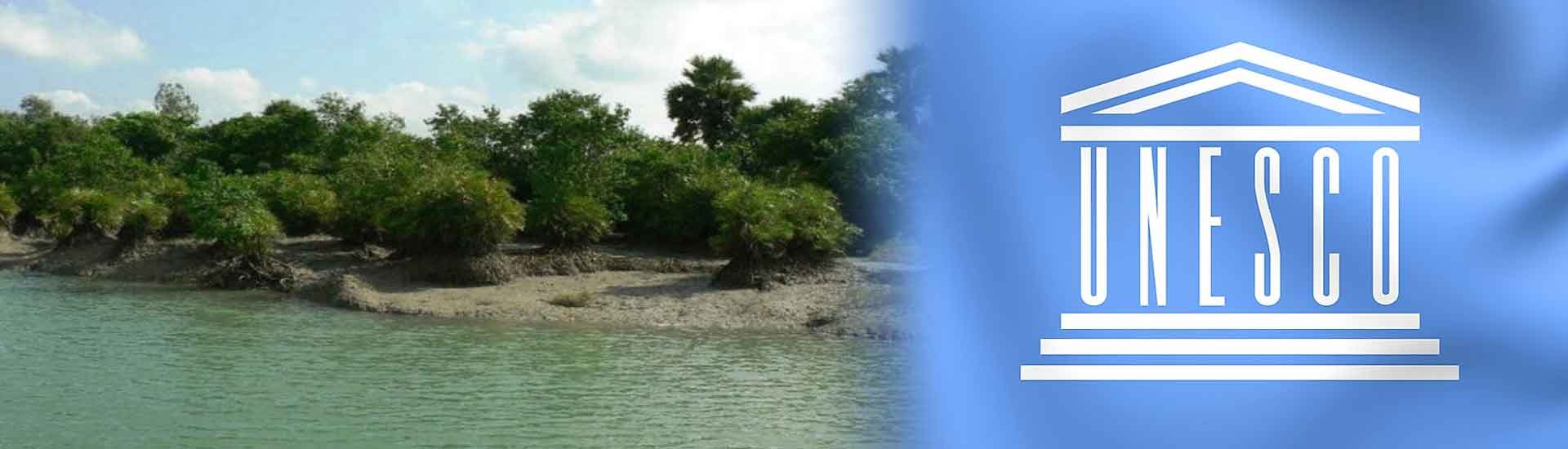 The Role Of The UNESCO For Protecting The Sundarban