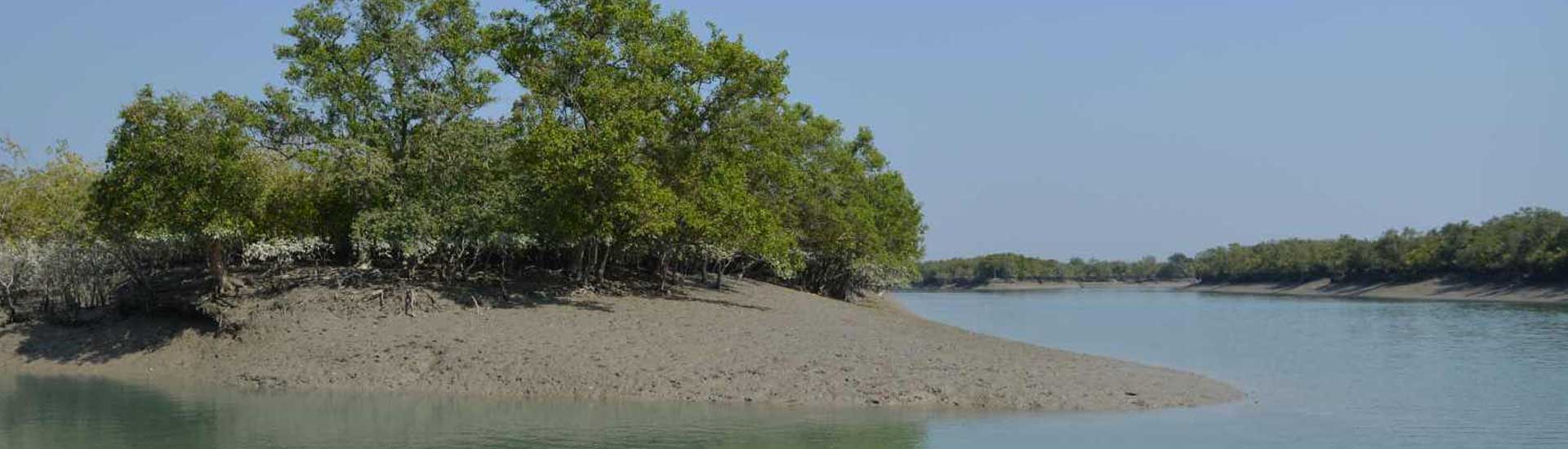 Pocket Friendly Solution to Reach Sundarban