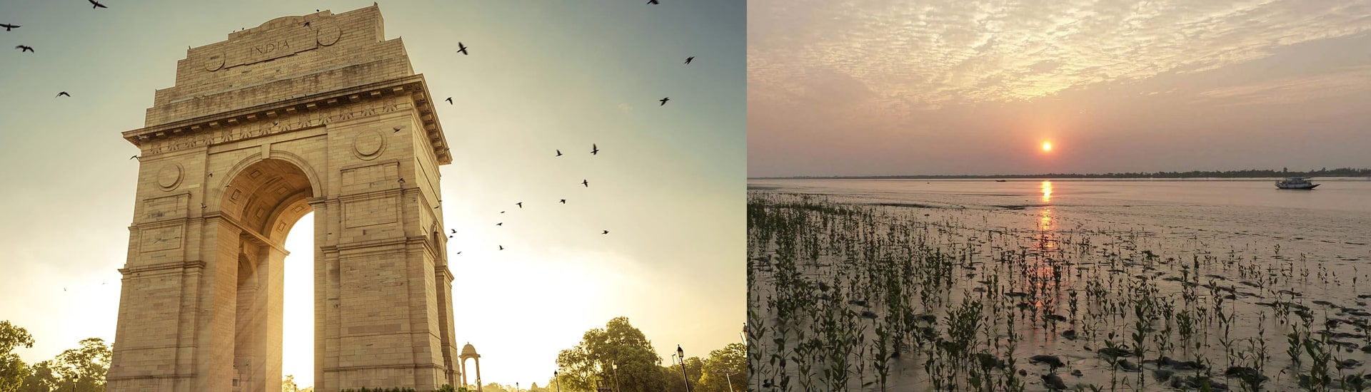Guide to Reach Sundarban from Delhi