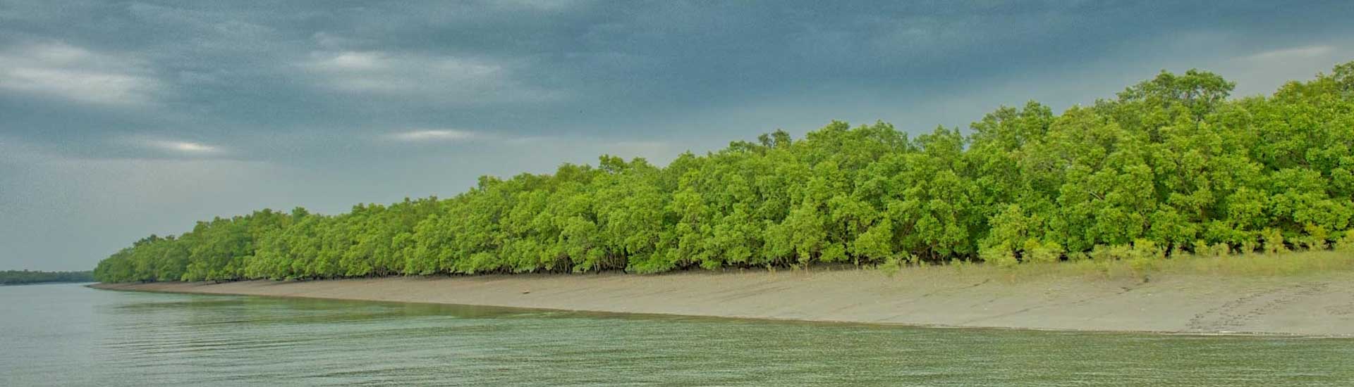 Why should your next travel destination be Sundarban?