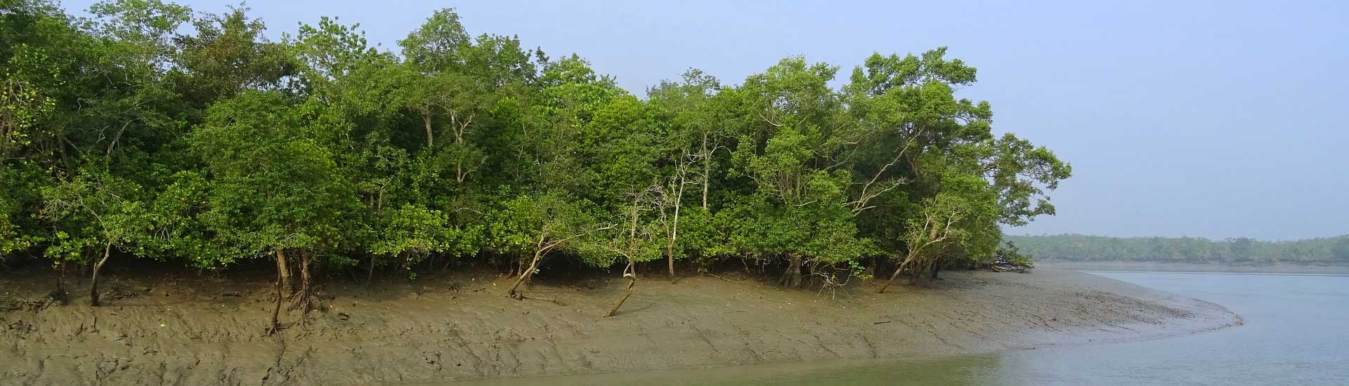 Sundarban Tourism