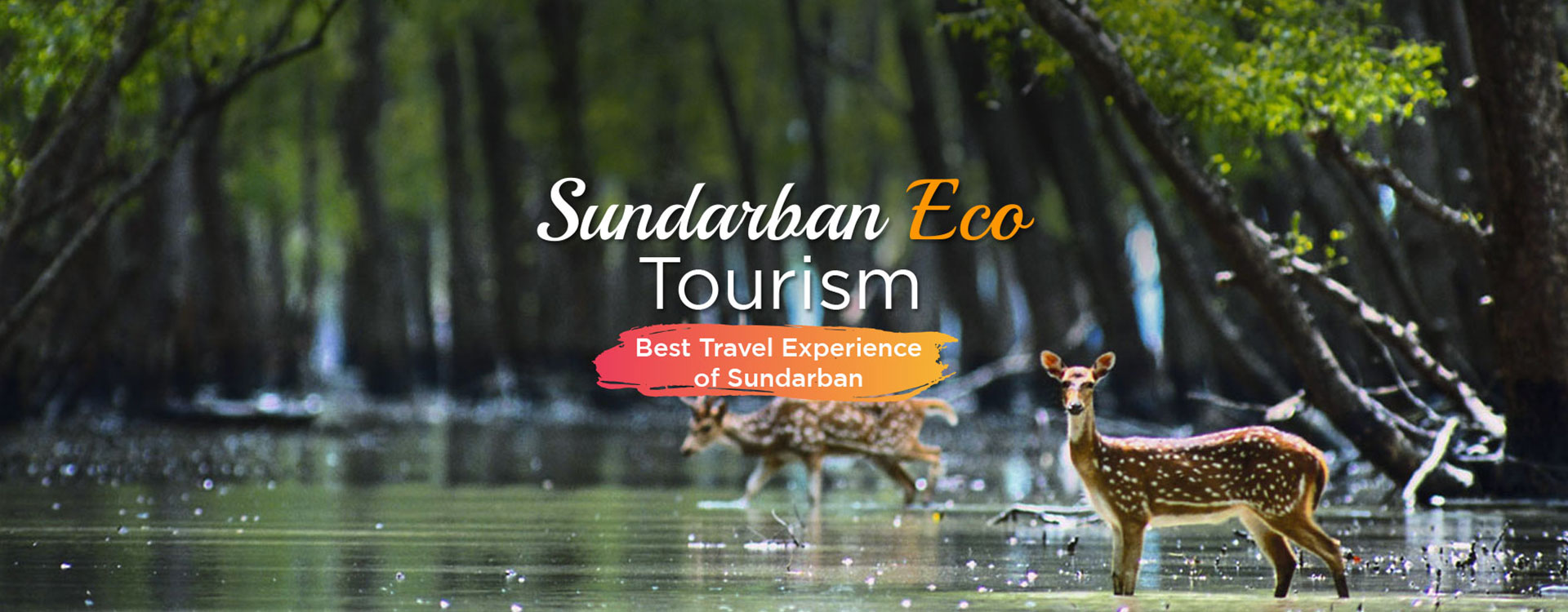 Sundarban Eco Tourism