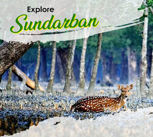 Sundarban Tour 3 Days 2 Night